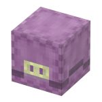 119 Shulker